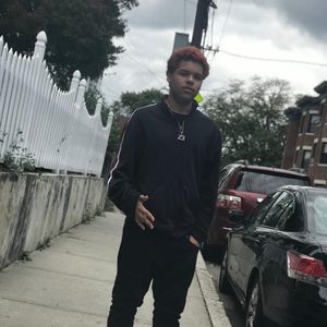 Meet your Posher, Wiltøn